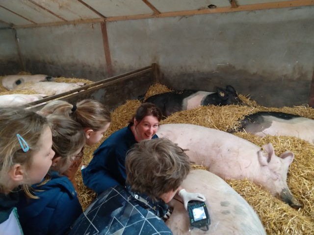 Boerderijeducatie