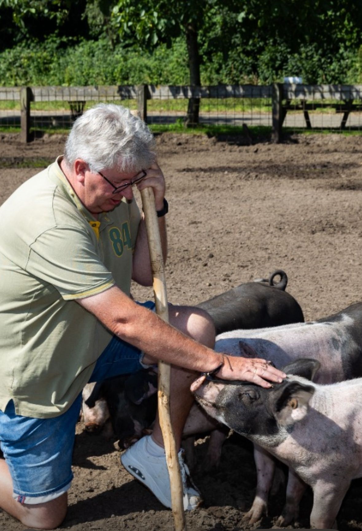 varkenshouderij Piggy's palace familie Stegink