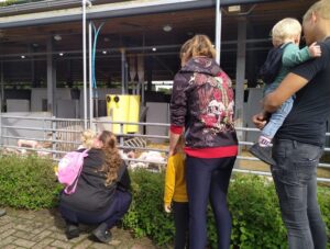 Weekend van het varken